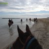 Cavalcata al mare