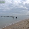 Cavalcata al mare