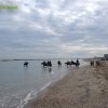 Cavalcata al mare