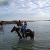Cavalcata al mare