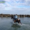 Cavalcata al mare