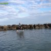 Cavalcata al mare