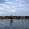 Cavalcata al mare