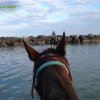 Cavalcata al mare