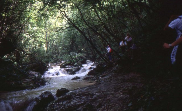 Foce_adige