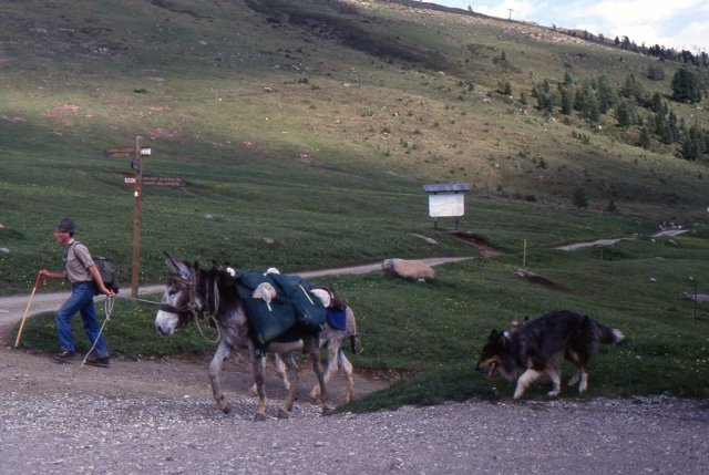 Foce_adige