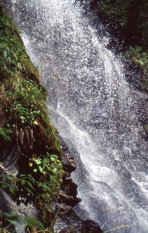 Foce_adige