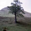 Foce_adige