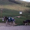 Foce_adige