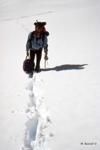 Foce_adige