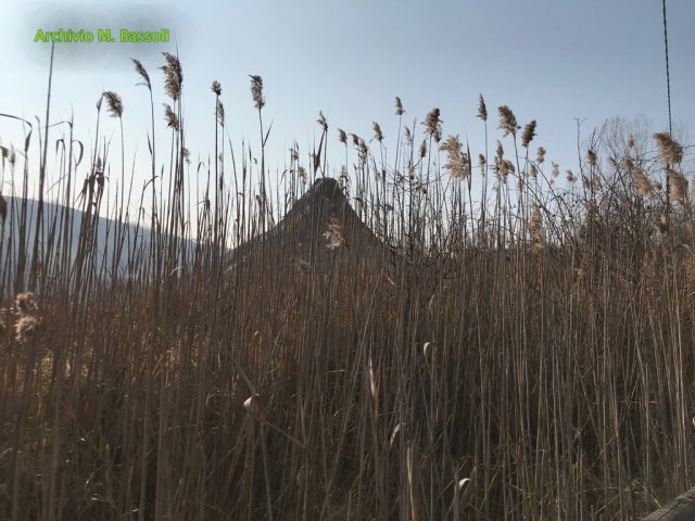 Nirano