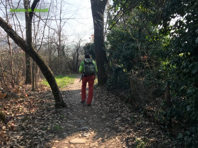 Foce_adige