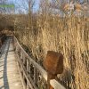 Foce_adige