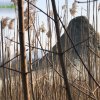 Foce_adige