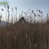 Foce_adige