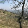 Foce_adige