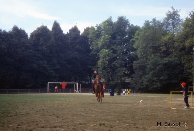Foce_adige