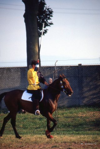 Palio di Parma e San secondo