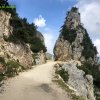 Foce_adige