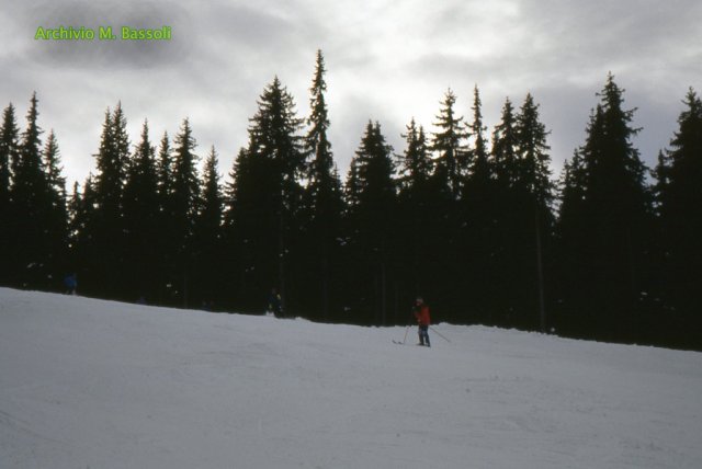 Telemark