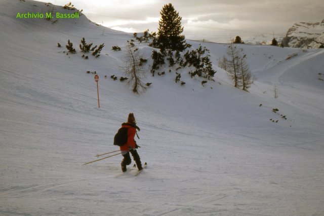 Telemark